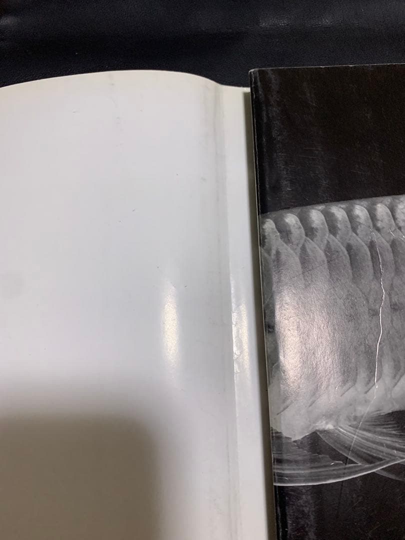 魚本セット