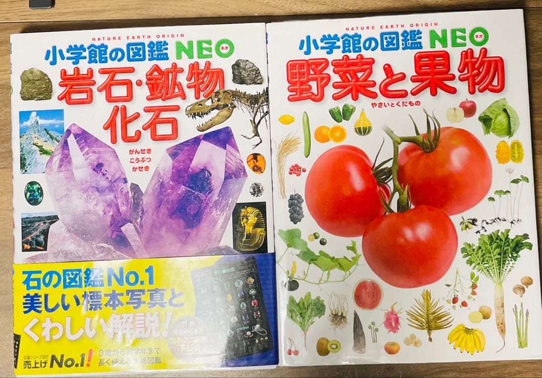 ★9冊セット★ 小学館の図鑑NEOネオ