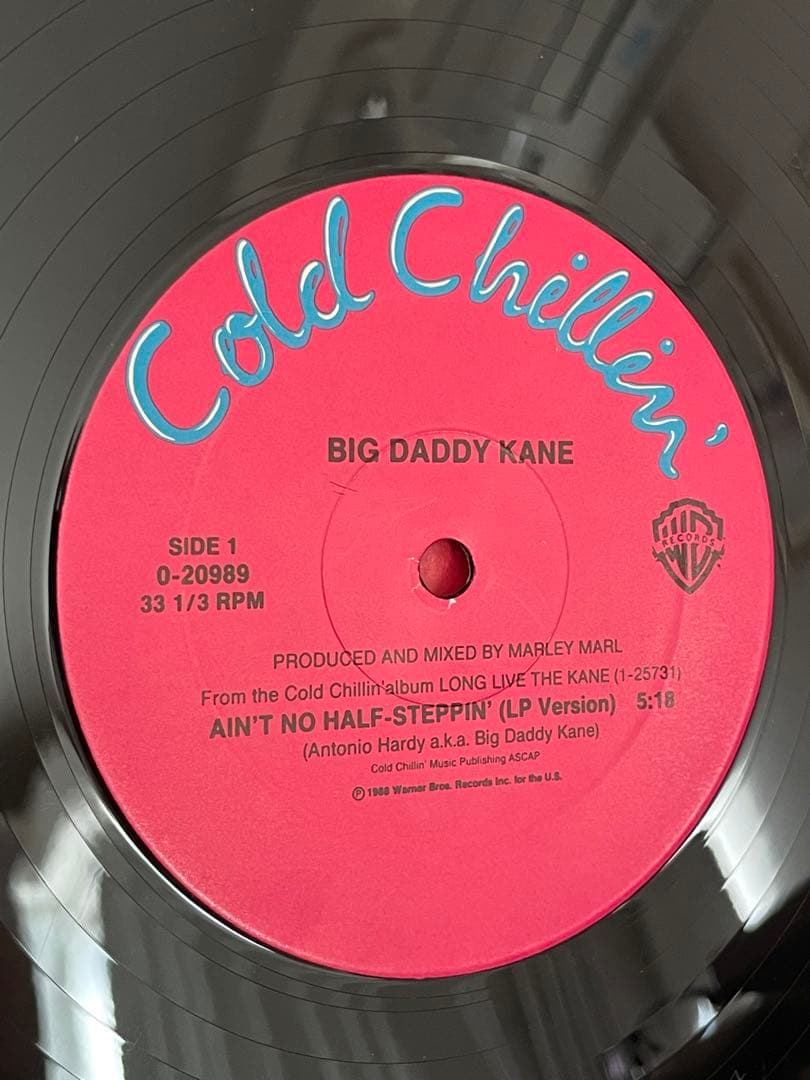 洋楽 BIG DADDY KANE - AIN'T NO HALF-STEPPIN'
