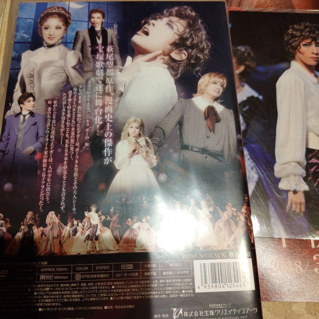 花組 ミュージカル・ゴシック ポーの一族DVD チラシ ブロマイド