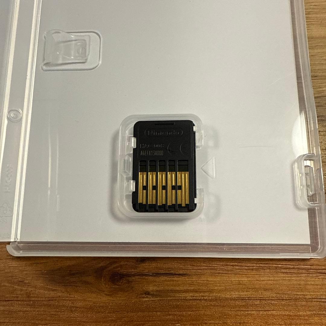 Switch AI ソムニウムファイル　2本セット