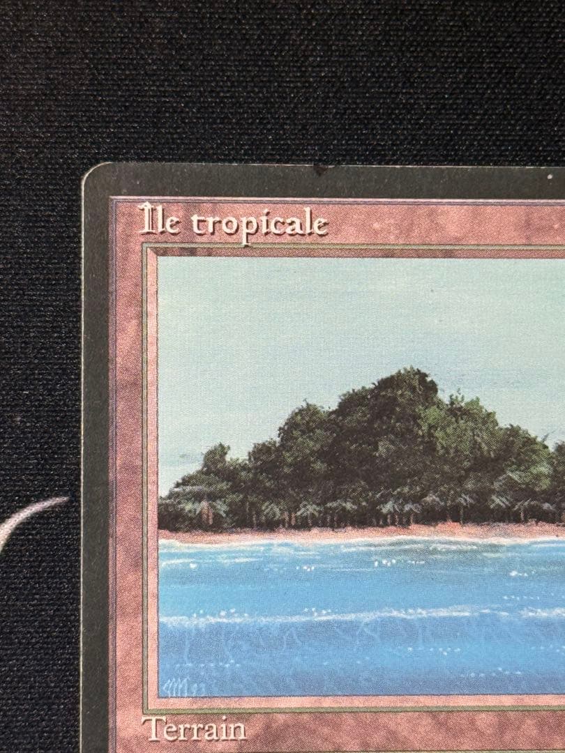 tropical  フランス語　黒枠　インクド①