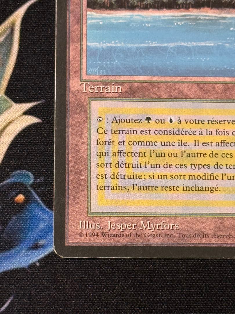tropical  フランス語　黒枠　インクド①
