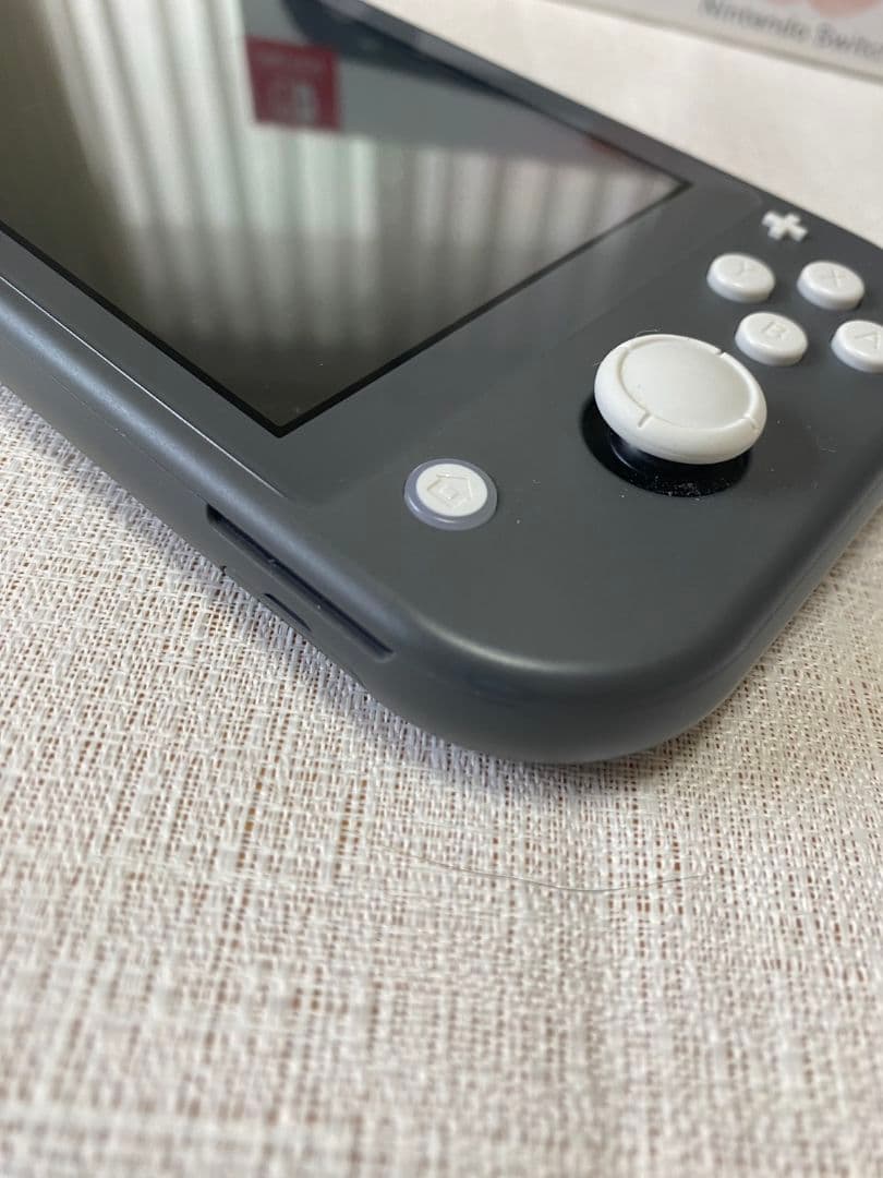 Nintendo Switch Lite　充電器なし　microSD付属