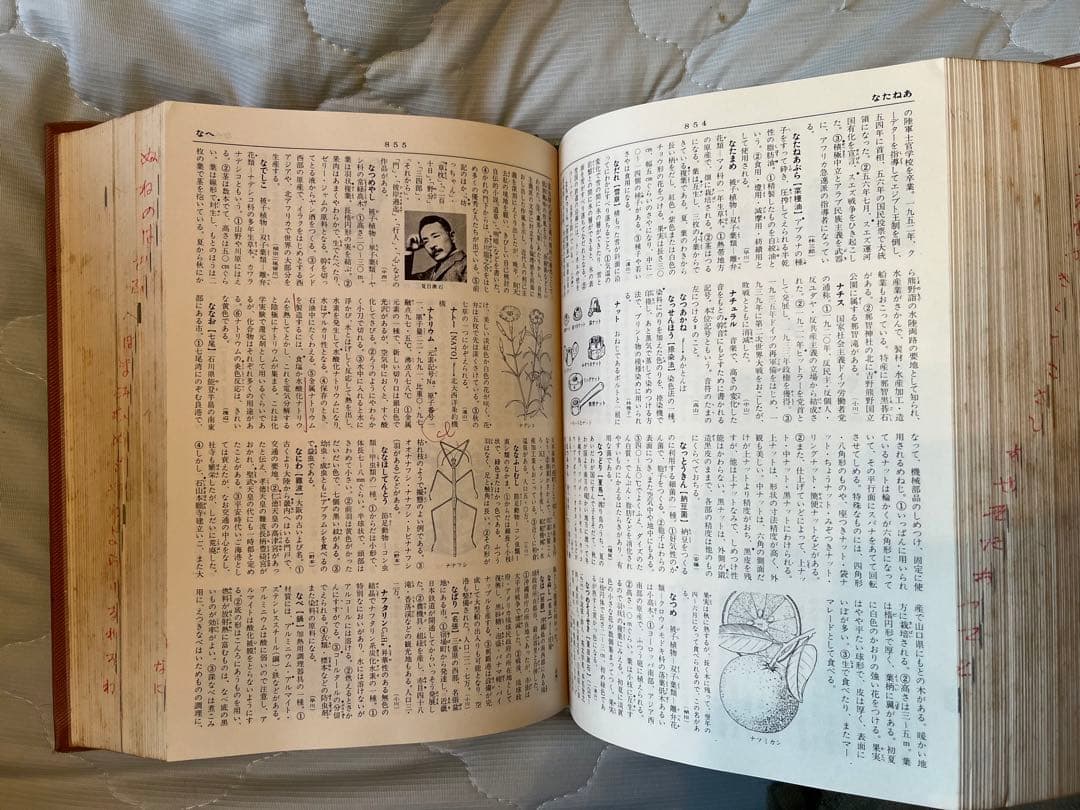 【増補改訂版】❇︎学生百科新事典❇︎⭐︎約60年前の百科事典⭐︎