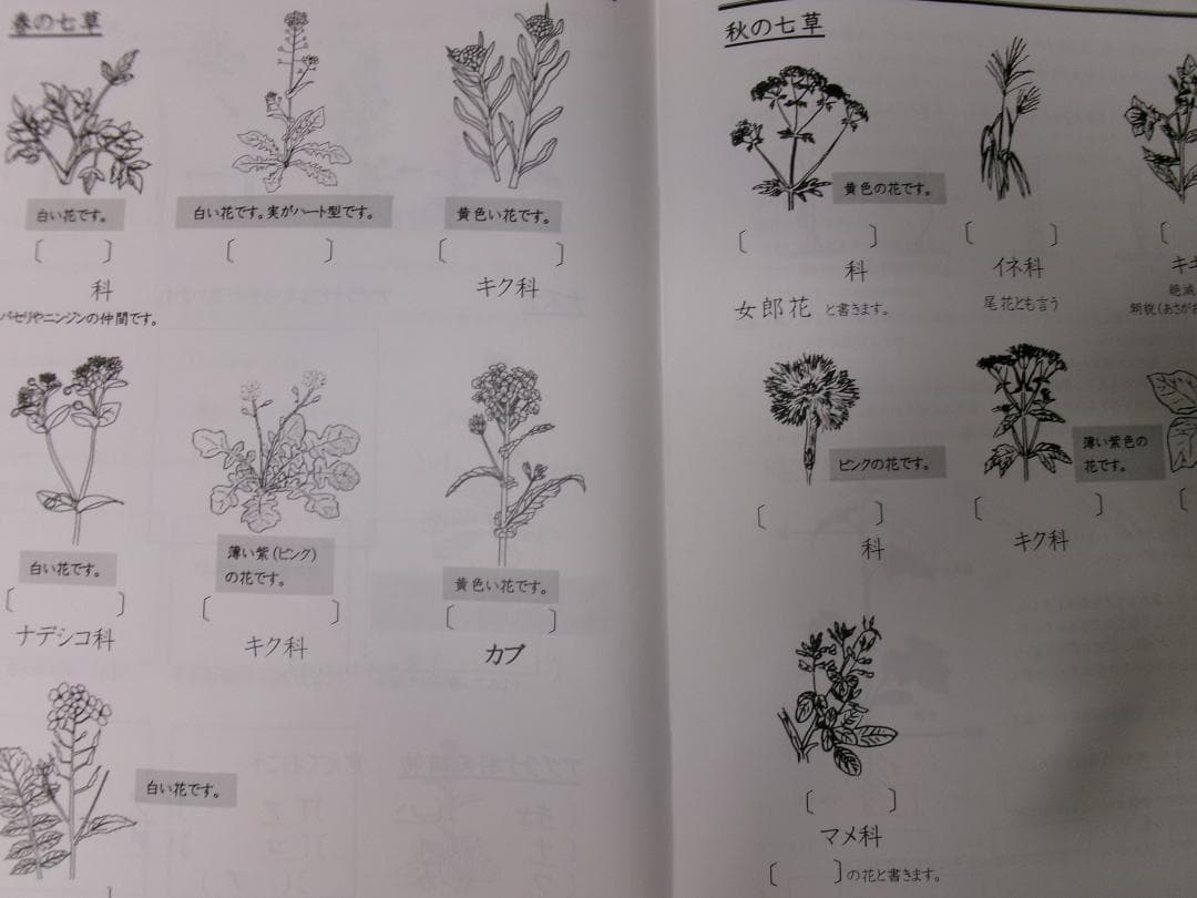 早稲田アカデミー＊６年＊ＮＮ前期＊慶應義塾普通部／理科＊全６回完全版＊２０２４年