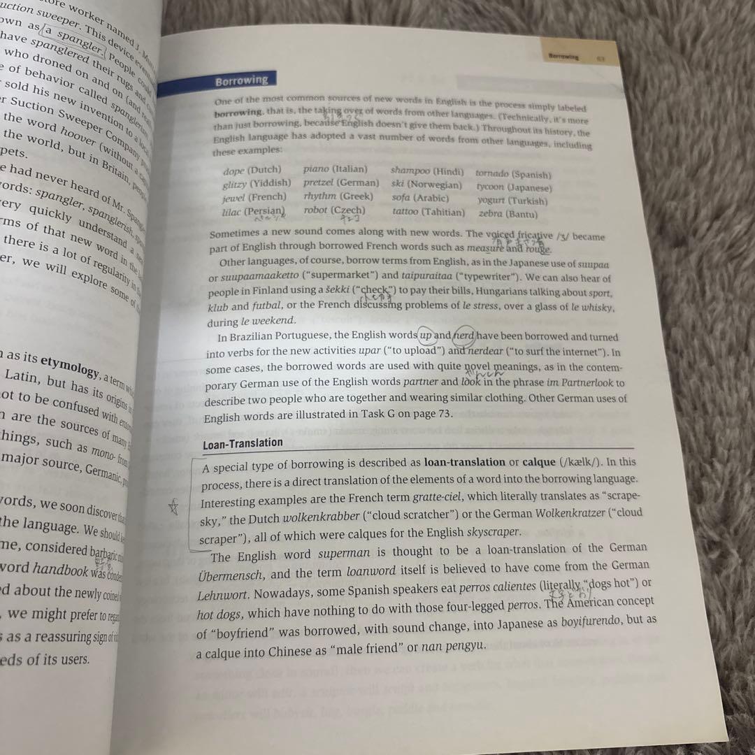 語学・辞書・学習参考書 The Study of Language