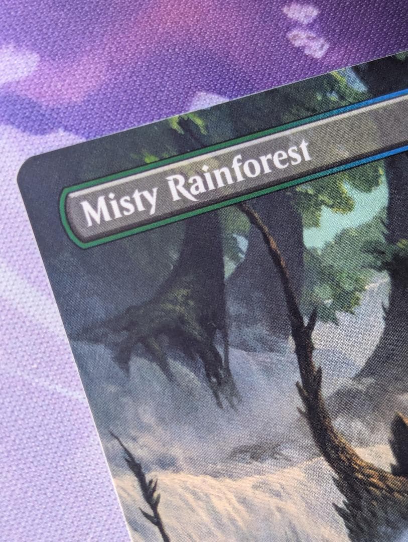 Misty Rainforest // 霧深い雨林 // M0111 SPG