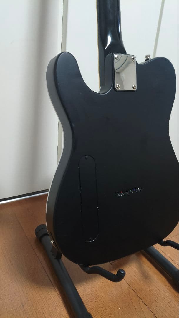布袋モデル　FERNANDES　TEJ-70改　HOTEI　ハーフG柄