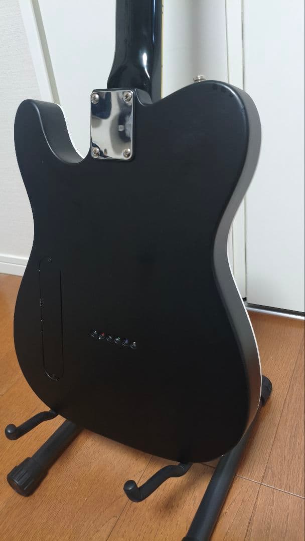 布袋モデル　FERNANDES　TEJ-70改　HOTEI　ハーフG柄