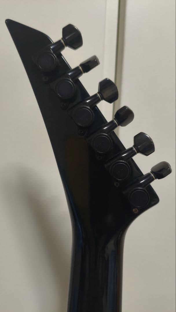 布袋モデル　FERNANDES　TEJ-70改　HOTEI　ハーフG柄