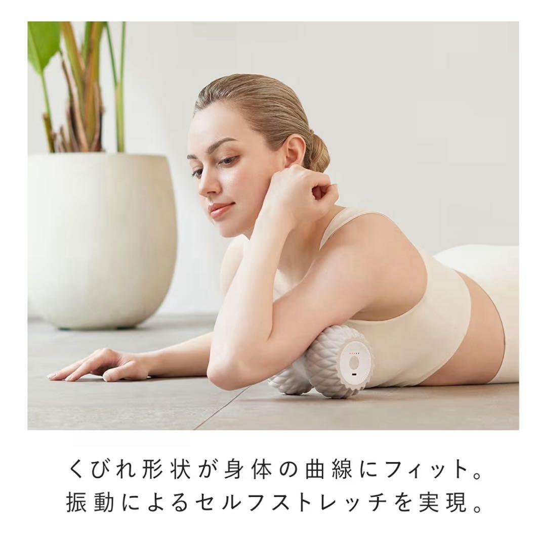 SIXPAD Power Roller Twins シックスパッド