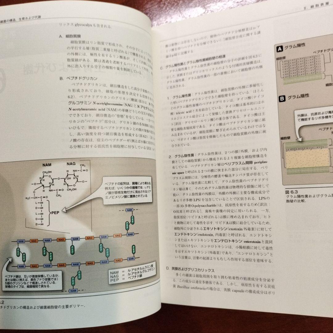 イラストレイテッド　微生物学　 原書3版