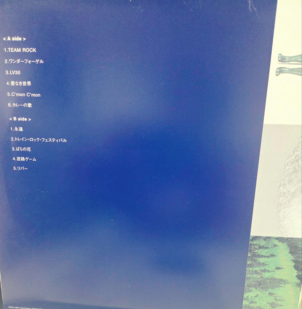 帯付き!オマケ付き!くるり　team rock インサート付き!アナログ!