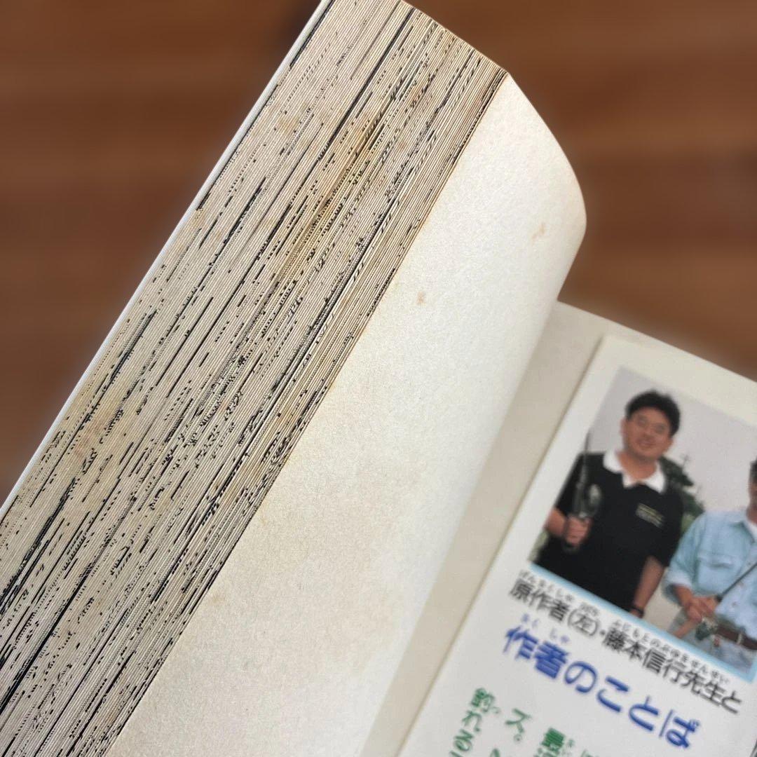 【希少漫画】グランダー武蔵 : スーパーフィッシング 1～9巻　てしろぎたかし