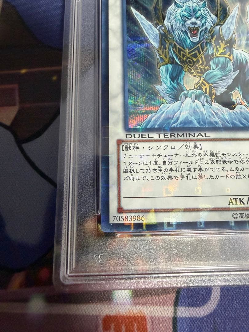 PSA10 氷結界の虎王 ドゥローレン DTC シークレット