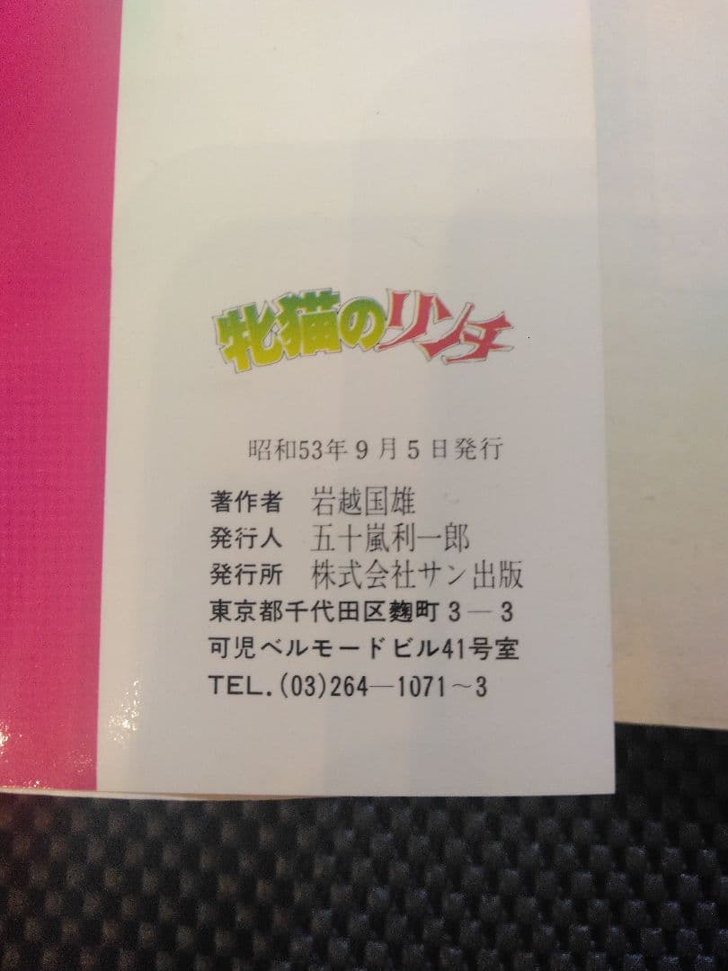 稀少【vintageコミック】雌猫のリンチ　岩越国雄　サン出版