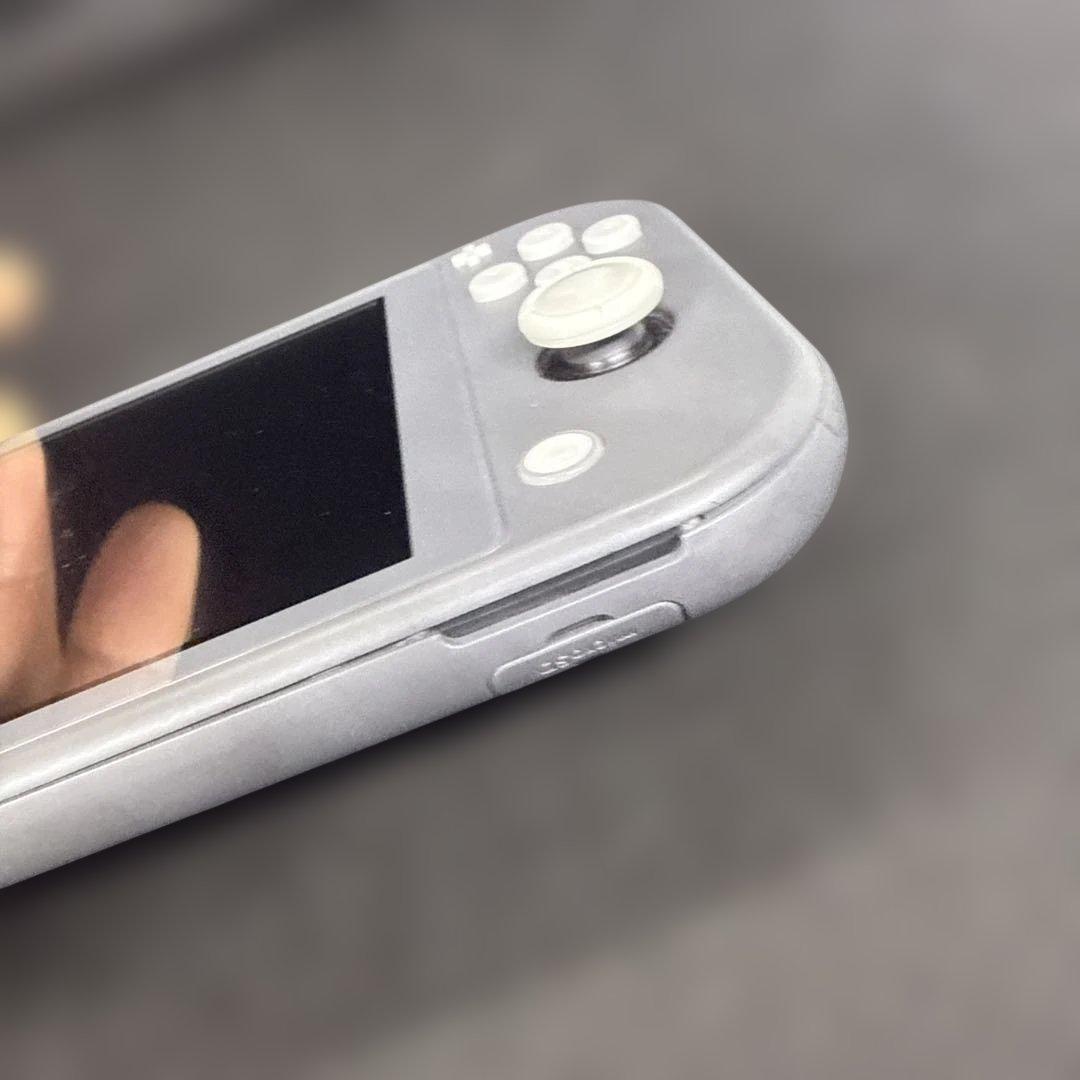 Switch ライト グレー