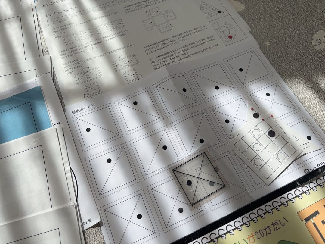 桐杏学園小学校受験プリント総合まとめ&教育図書21受験絵画＆こぐまなでしこ教室