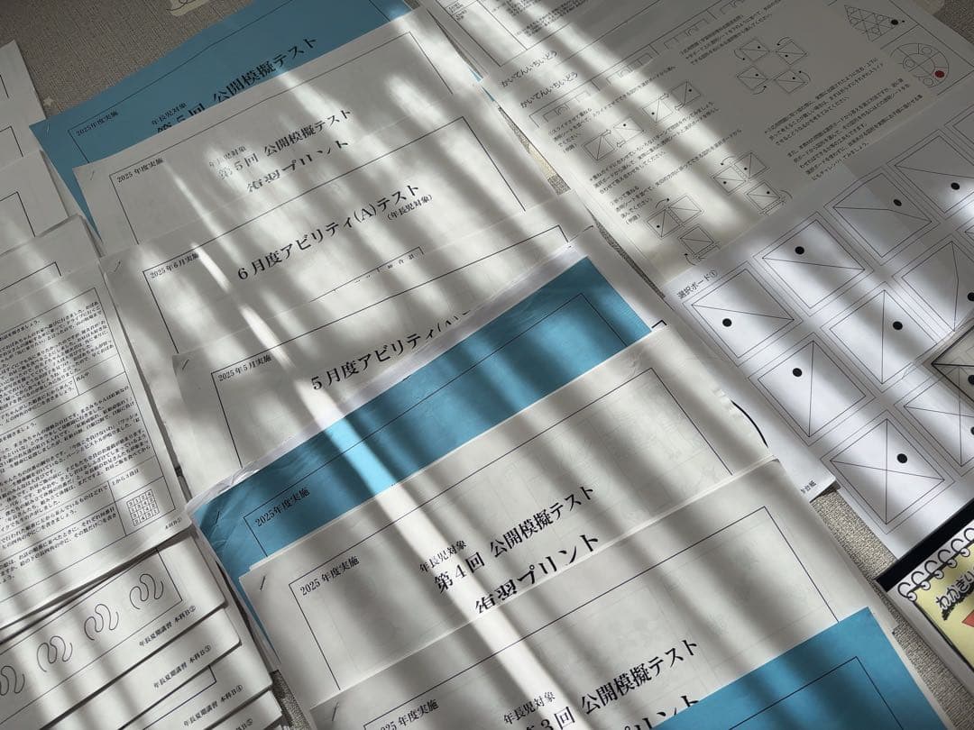 桐杏学園小学校受験プリント総合まとめ&教育図書21受験絵画＆こぐまなでしこ教室