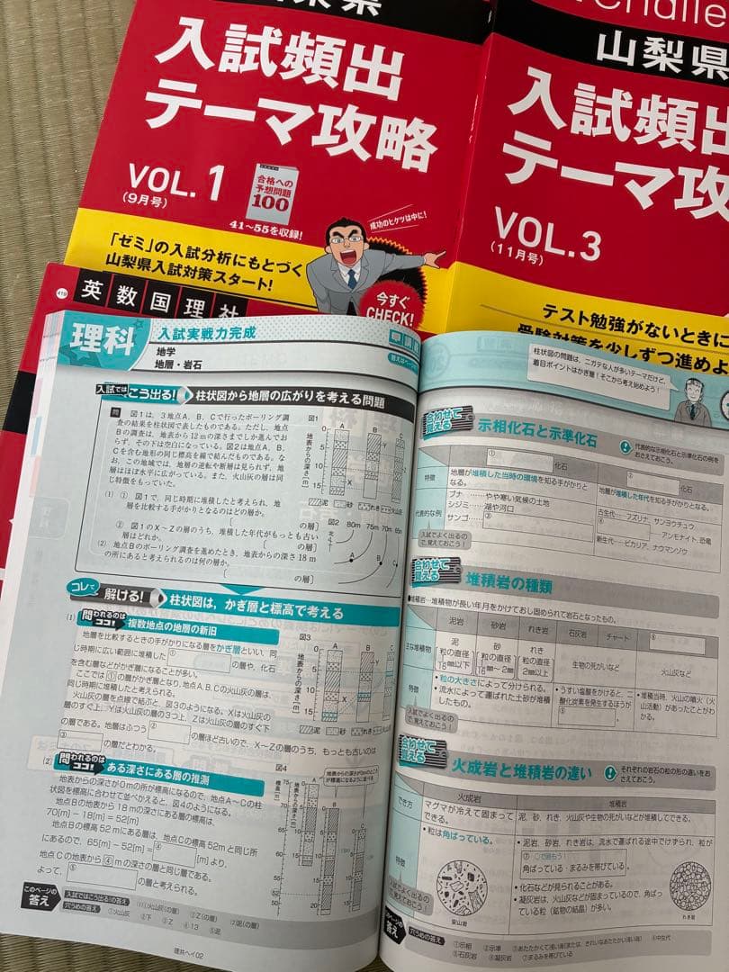 進研ゼミ 山梨県高校入試 頻出テーマ攻略 VOL.1-4 セット