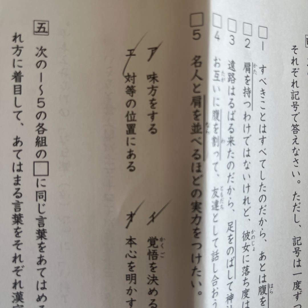 2025年度　日能研　学習力育成テスト　6年前期　17回分　国算２科目のみ