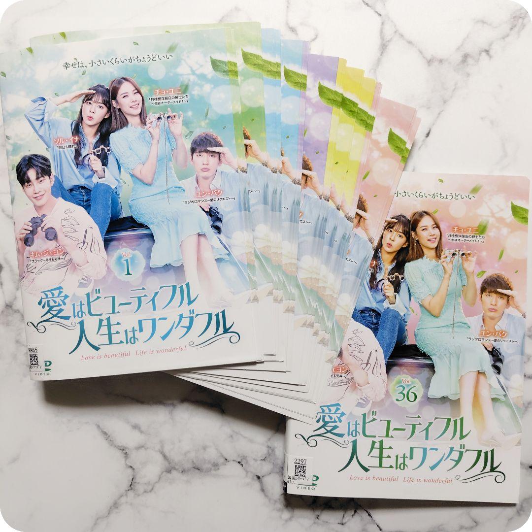 ソル・イナ『愛はビューティフル 人生はワンダフル』レンタル落ちDVD★全巻★韓国