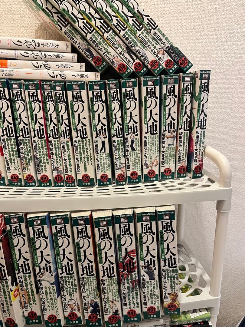 風の大地まとめ売り