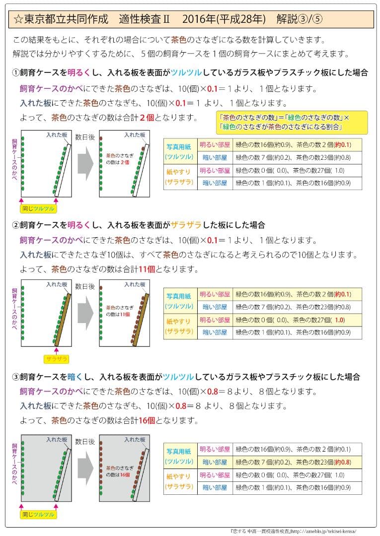 東京都立大泉高等学校附属中学校　志望校別お買い得セット