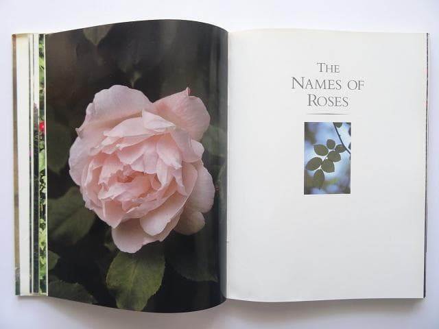 洋書◆薔薇の写真集 本 植物 バラの起源と歴史 伝承 用途 芸術 文学