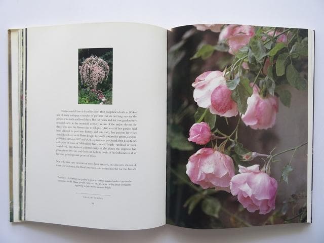 洋書◆薔薇の写真集 本 植物 バラの起源と歴史 伝承 用途 芸術 文学