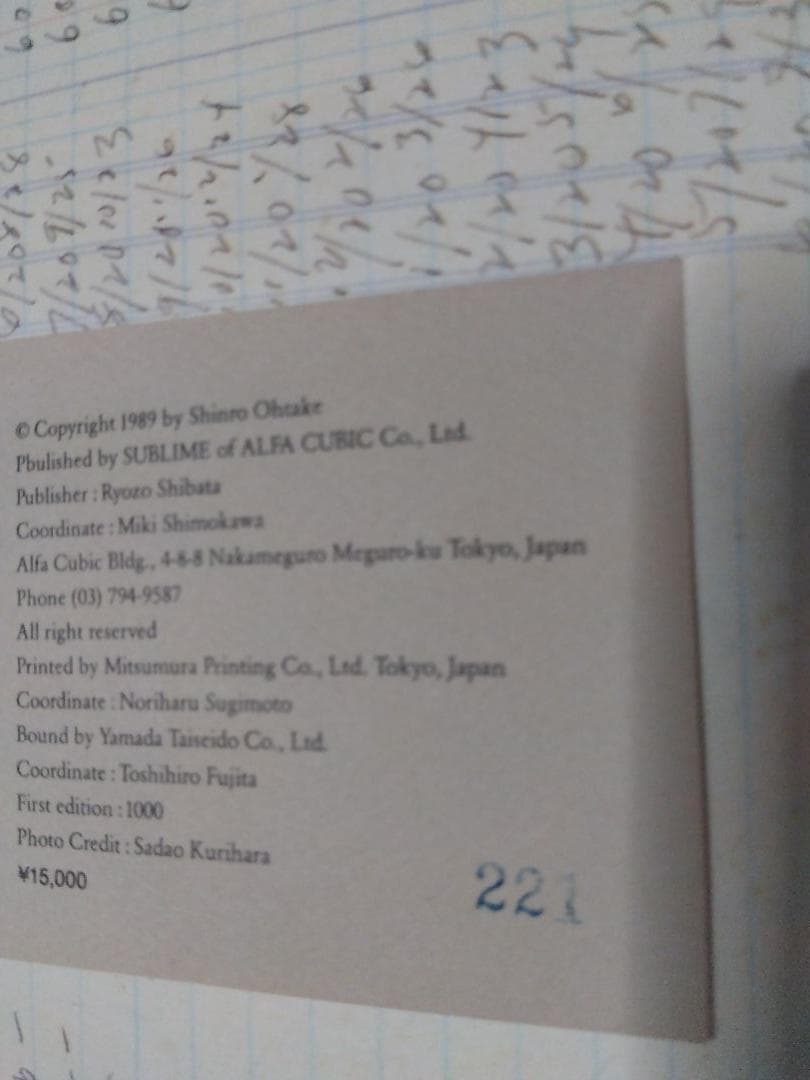 亜米利加 II 1989 　大竹伸朗