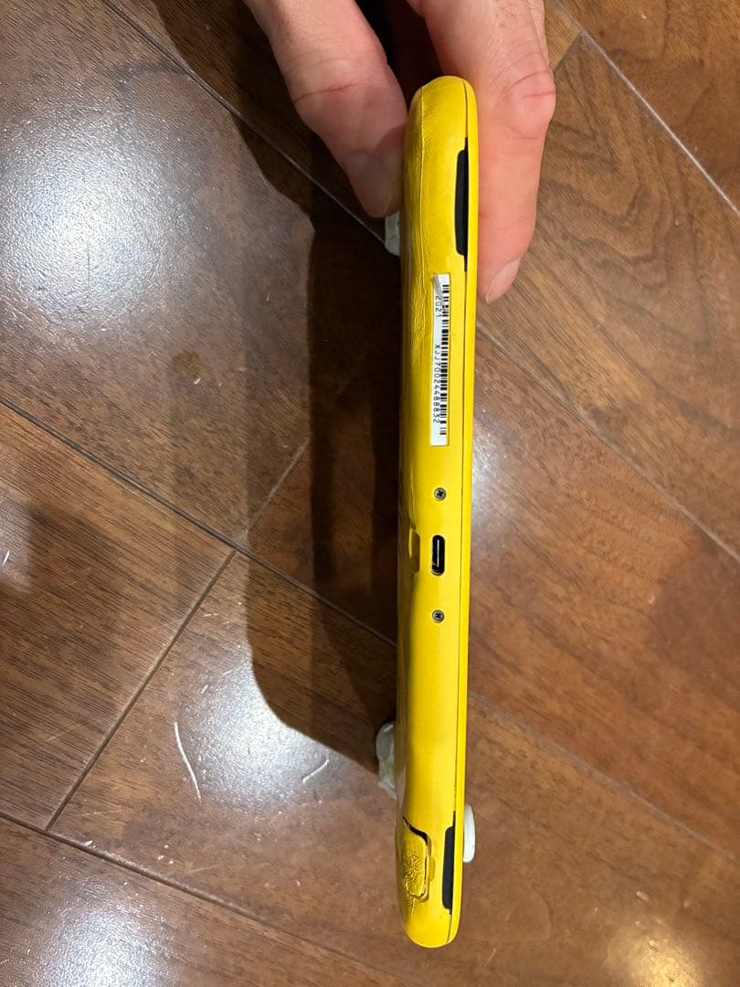 動く点Pの周りを走る兄弟  Nintendo Switch Lite