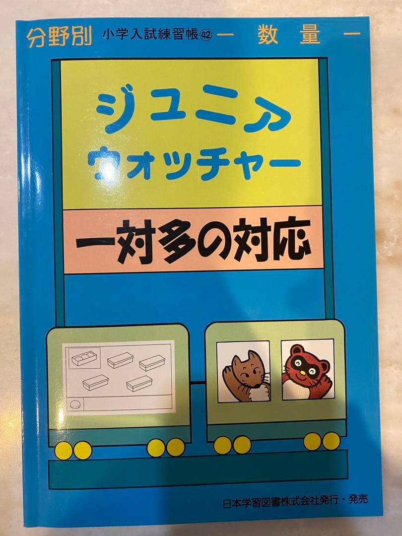 《お値下げ＆美品》東京農業大学稲花小学校　お受験対策資料一式