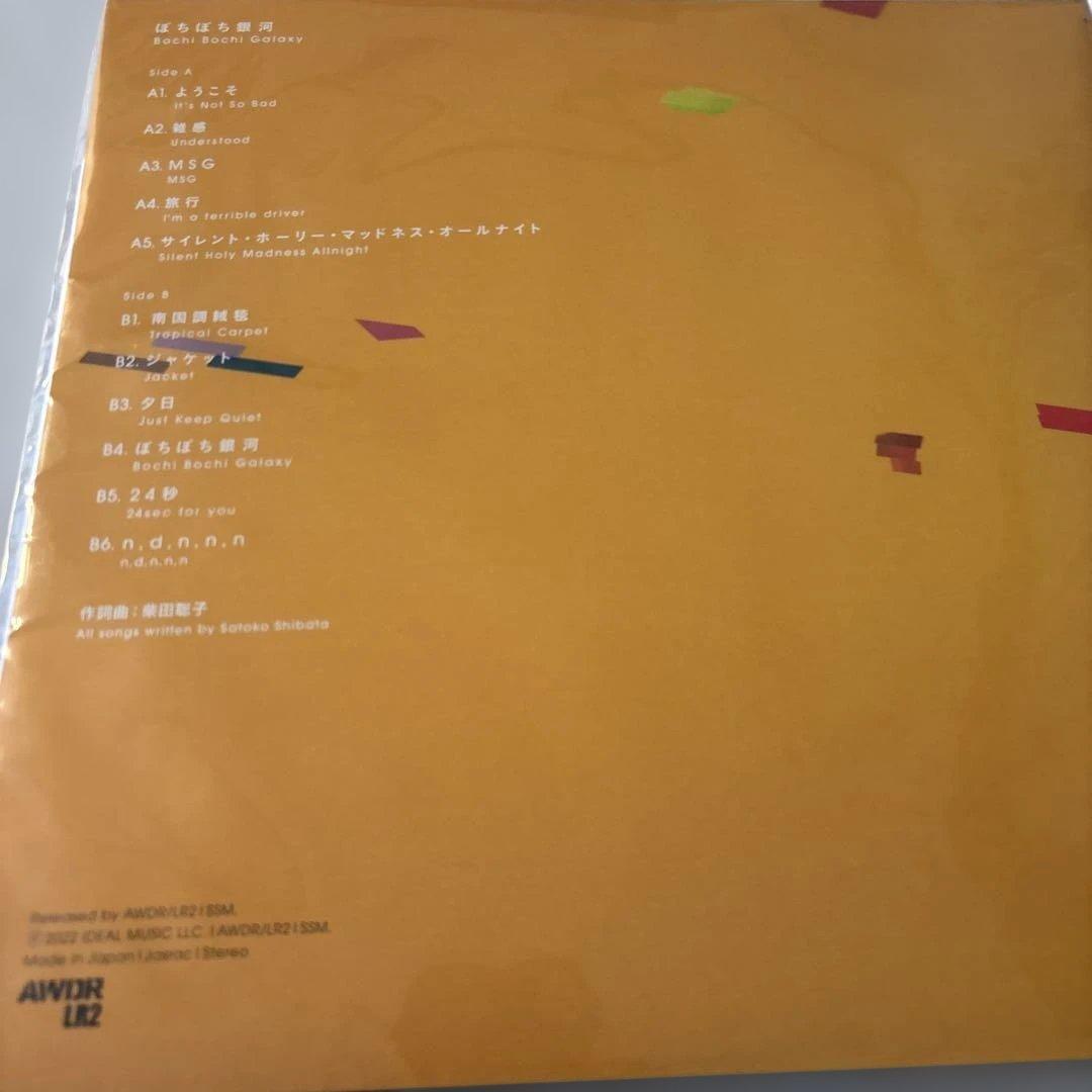 柴田聡子「ぼちぼち銀河」 LP アナログレコード