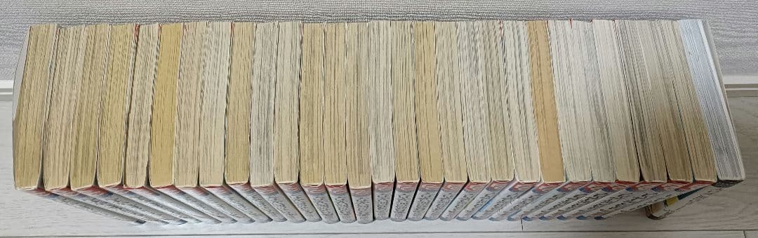 天は赤い河のほとり 全巻・ファンブック 全29冊セット