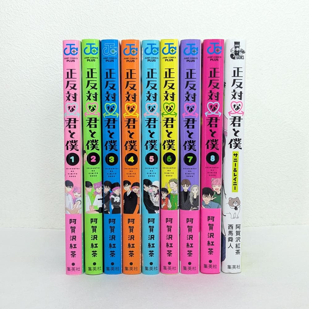 正反対な君と僕 全8巻 ＋ 番外編 小説 セット