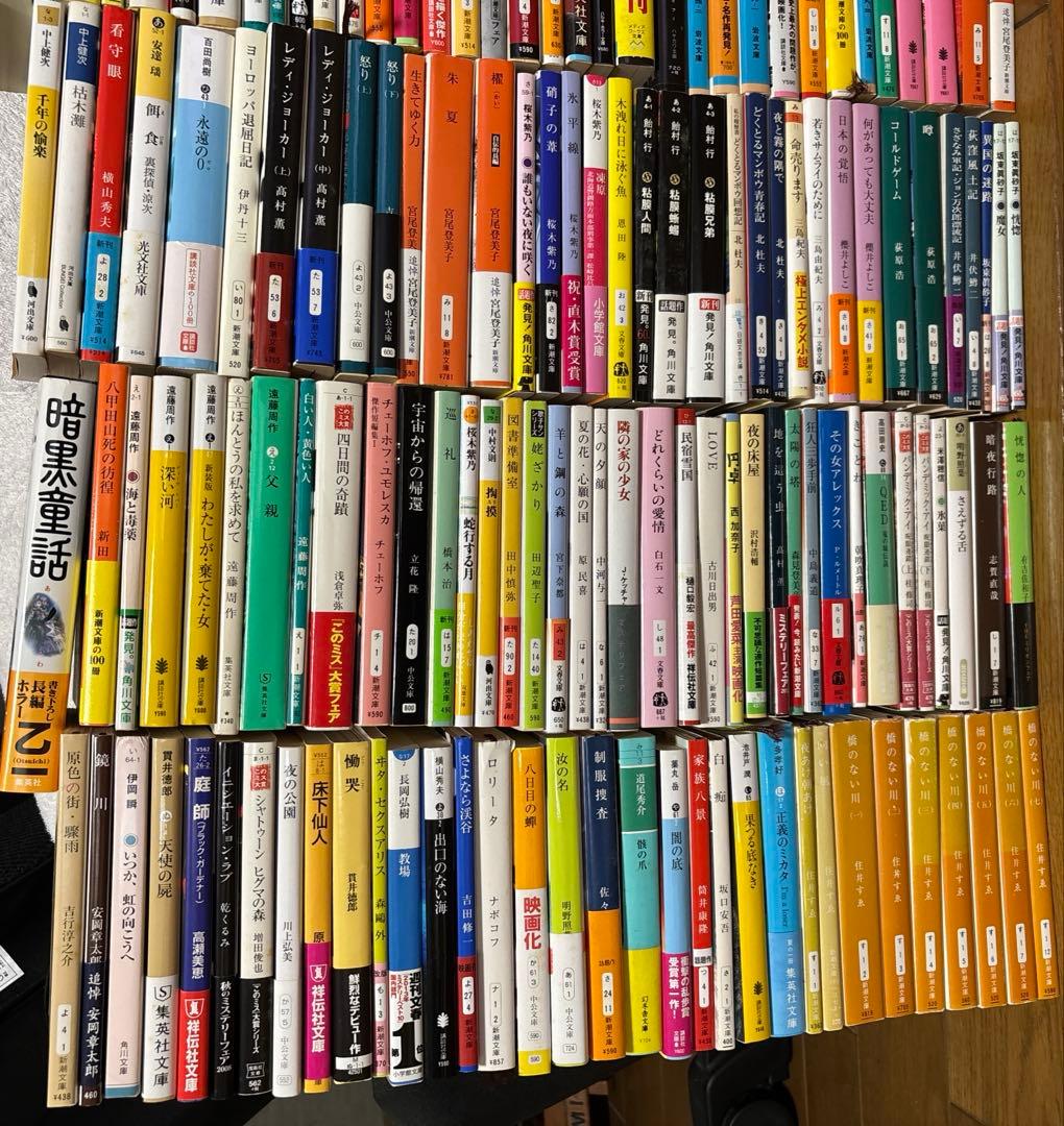 【8/15まで限定価格】文学•小説、エッセイまとめ売り