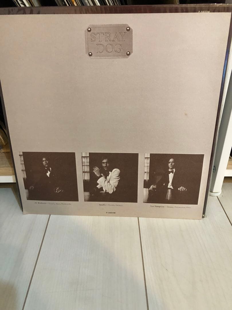 Stray Dog /Greg Lakeプロデュース　LPレコード