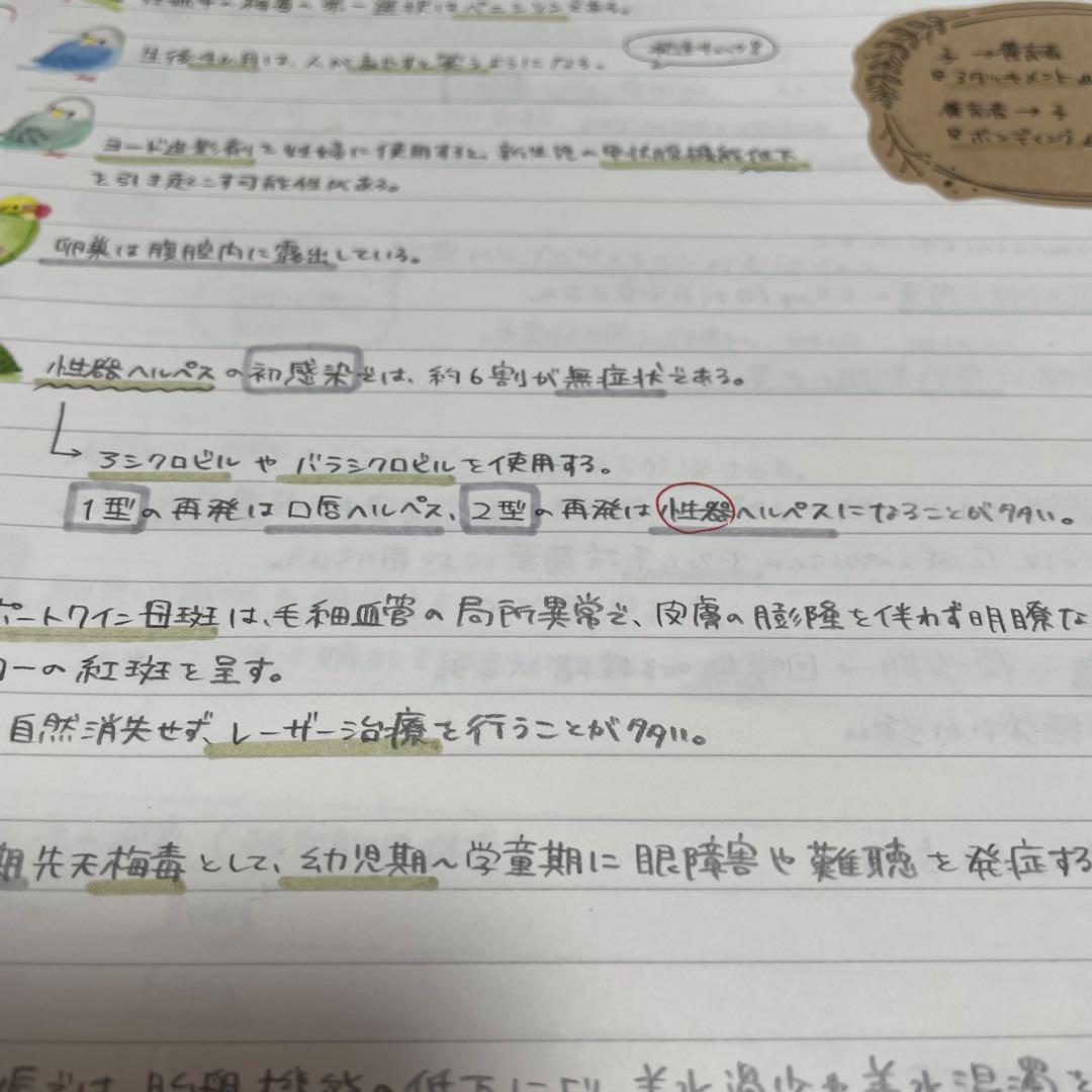 専用ページ　助産まとめノート