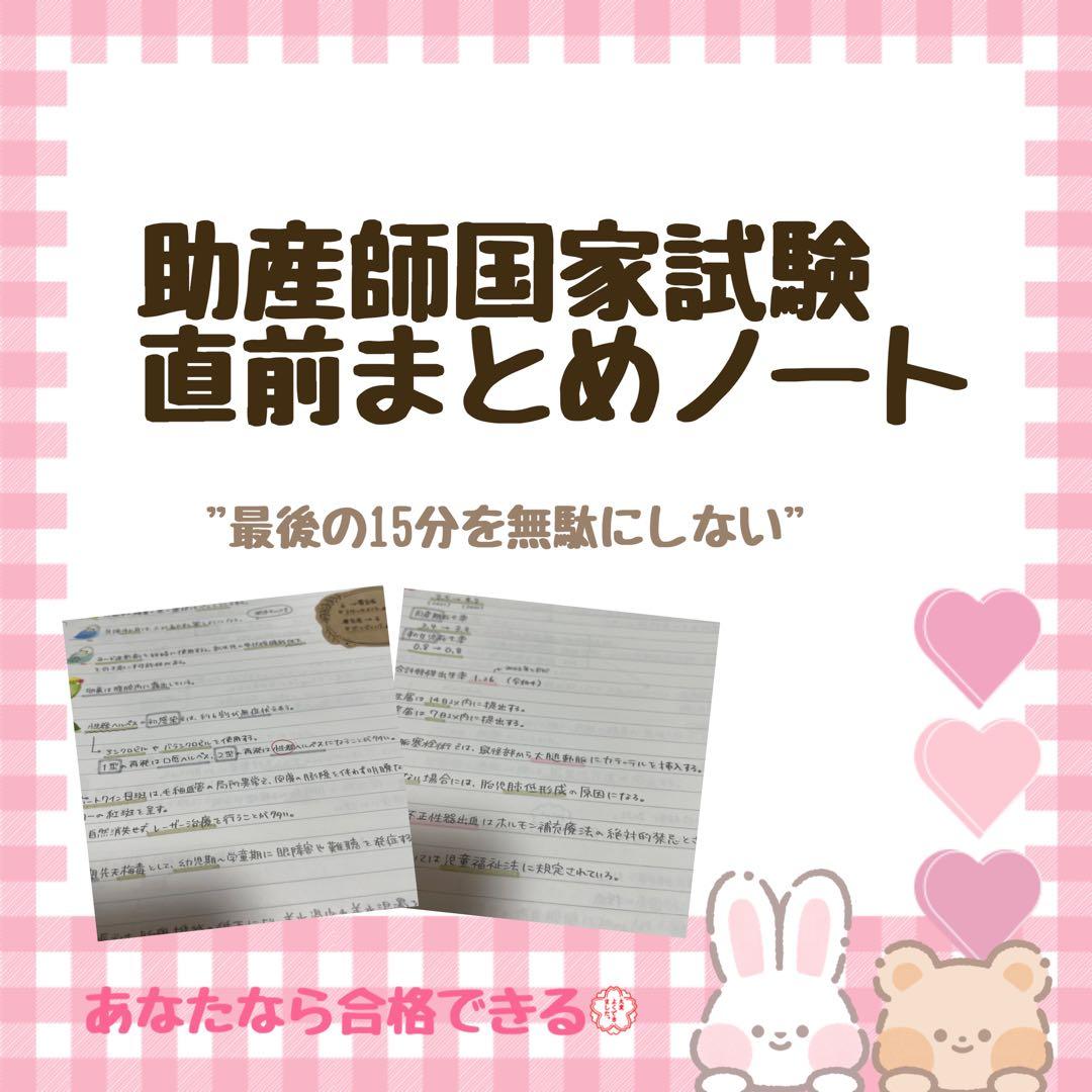 専用ページ　助産まとめノート