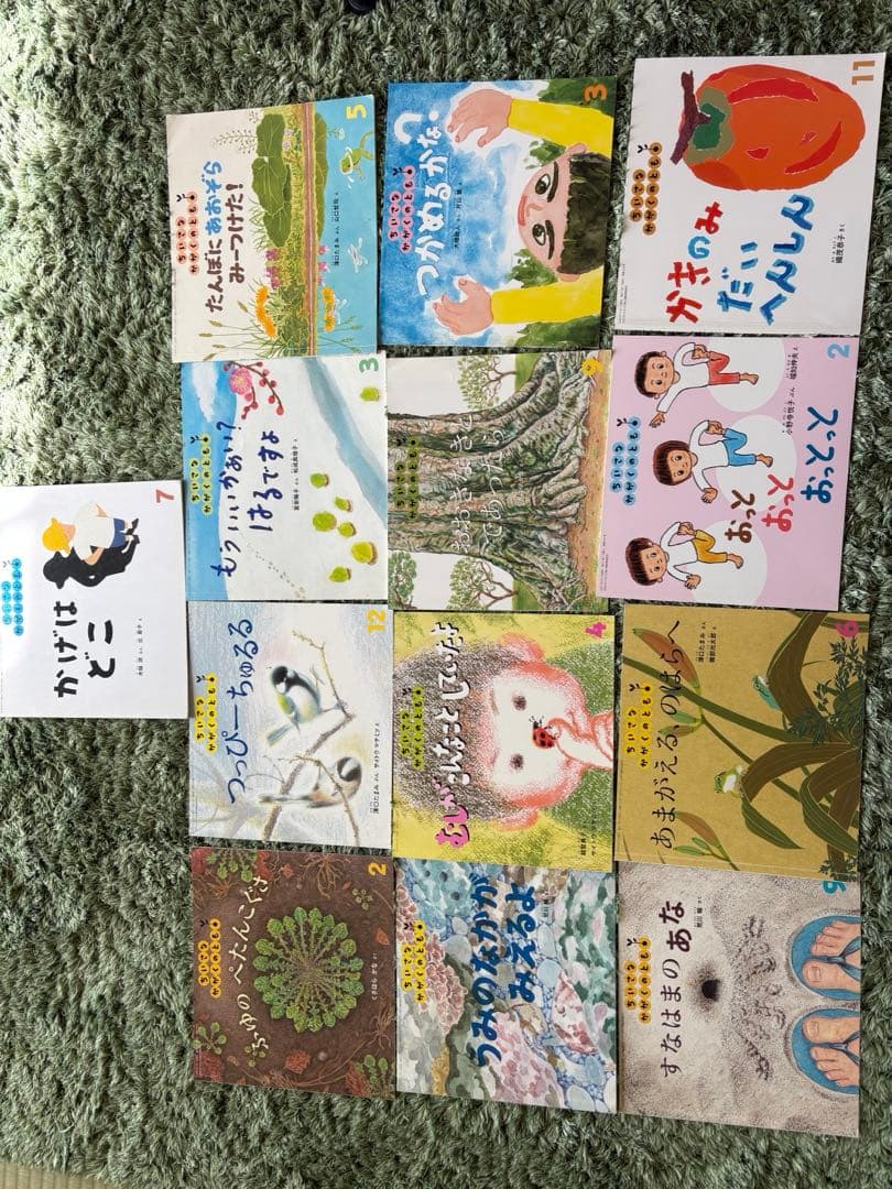ちいさなかがくのとも　絵本セット　福音館書店