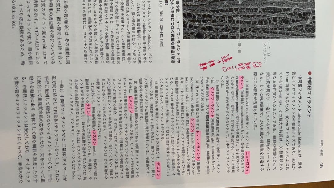 歯学 書籍