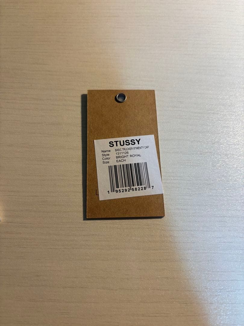 Stussy New era 9twenty Basic trucker ブルー