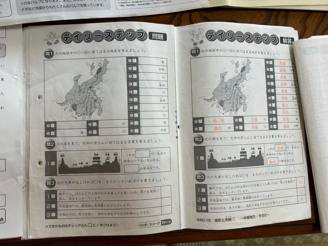 SAPIX 4年 社会　デイリー&春期＆夏期＆冬期フルセット 1年分2015年