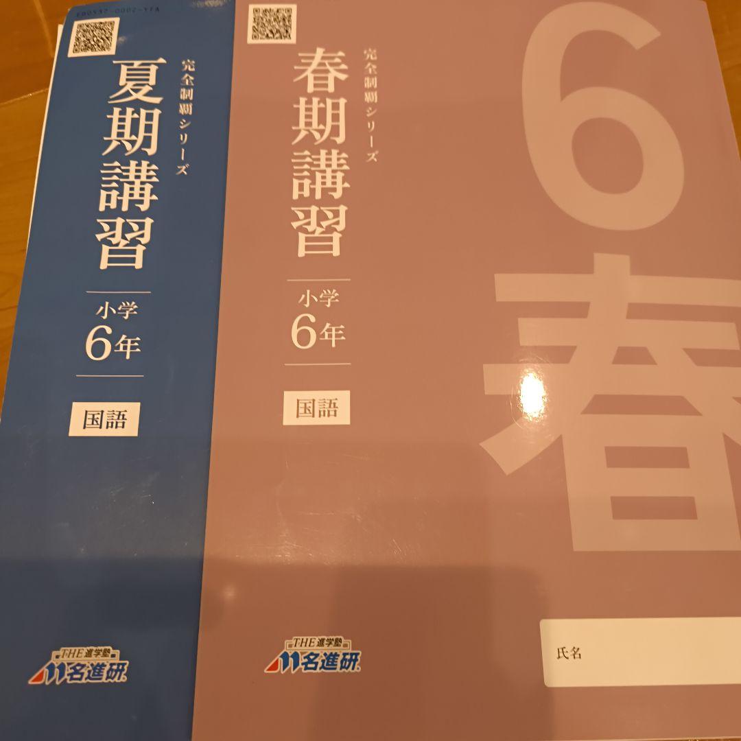 【名進研　完全制覇シリーズ適性検査教材　小6】