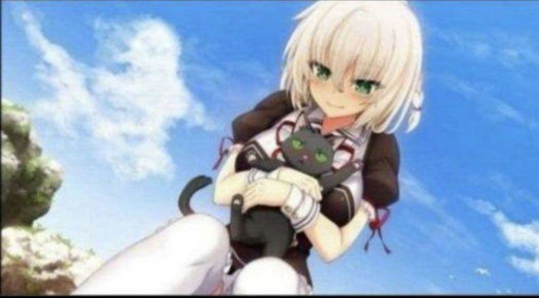 美品　ノラと皇女と野良猫ハート HD ＆２セット　Switch