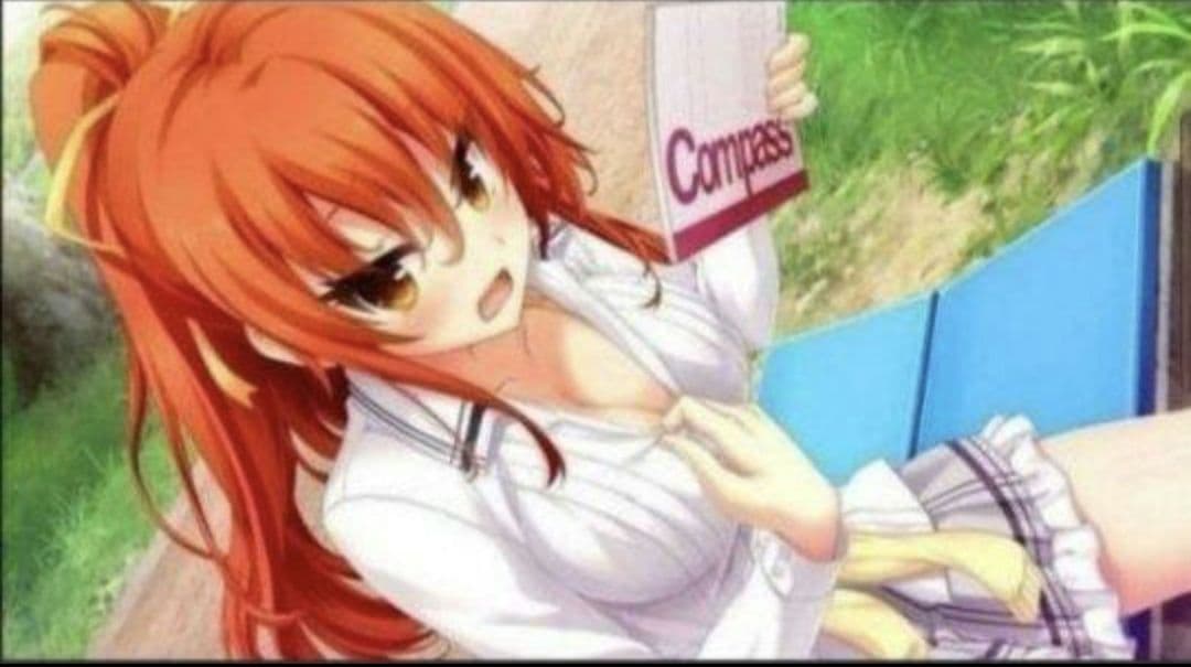 美品　ノラと皇女と野良猫ハート HD ＆２セット　Switch