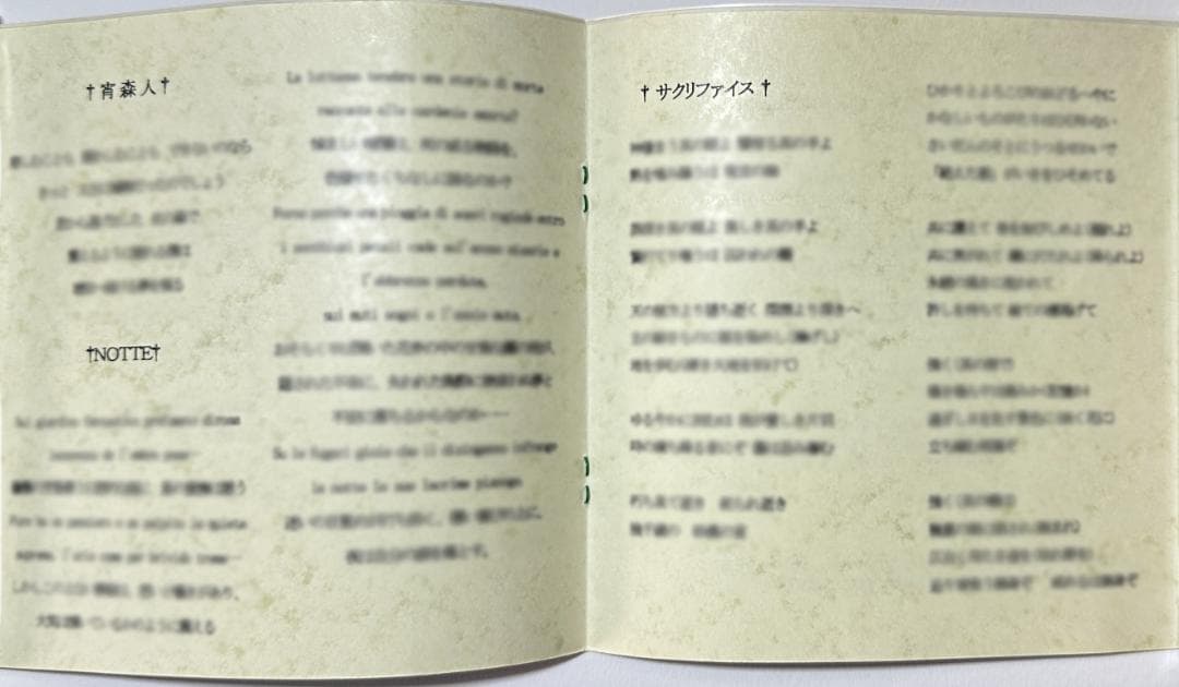志方あきこ ミニアルバム オリジナル歌曲CD「緑の森で眠ル鳥」初盤 手焼きCD
