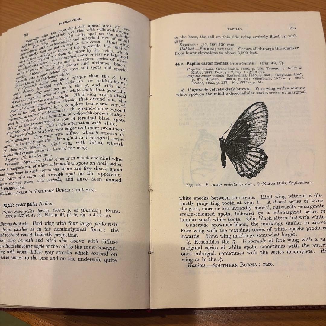 洋書 Fauna of British India Butterflies Vol I